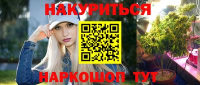 сатива Будённовск
