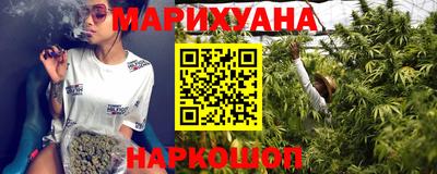 сатива Будённовск